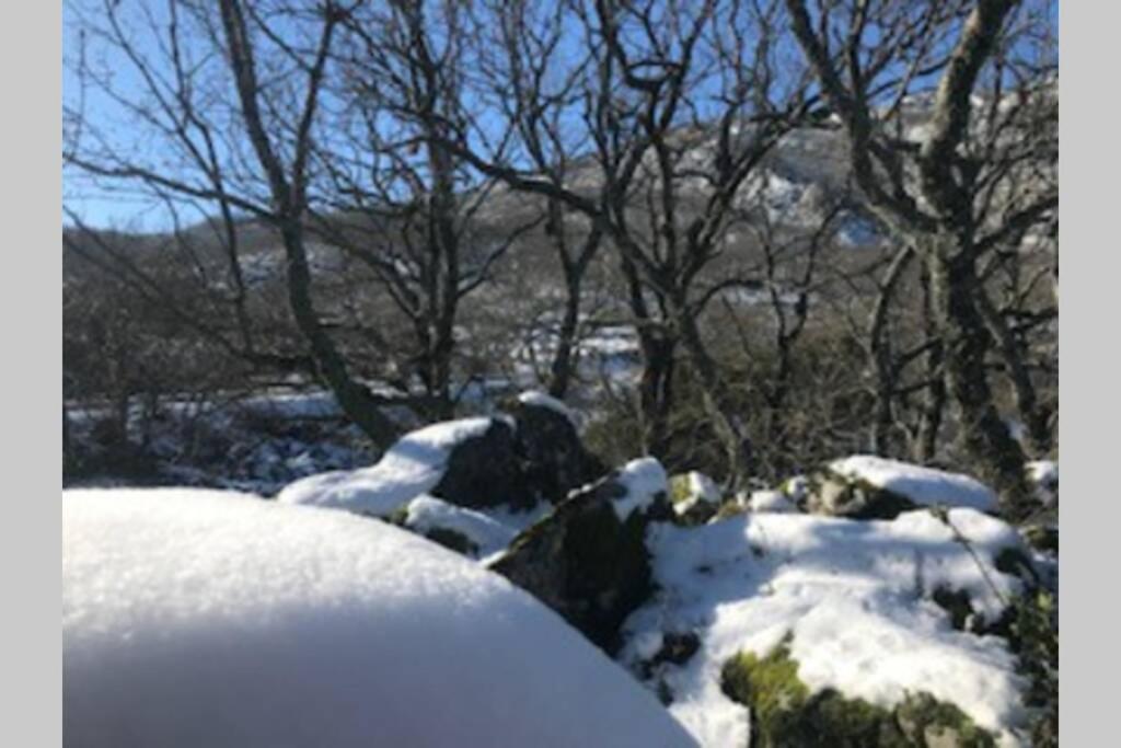 Vuelos De Montana L Montanchez Luaran gambar